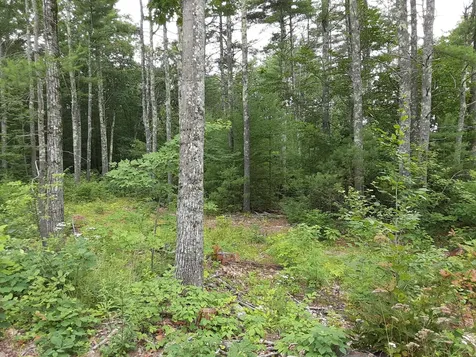 36ACRES Deering Ridge Road Waterboro ME 04030