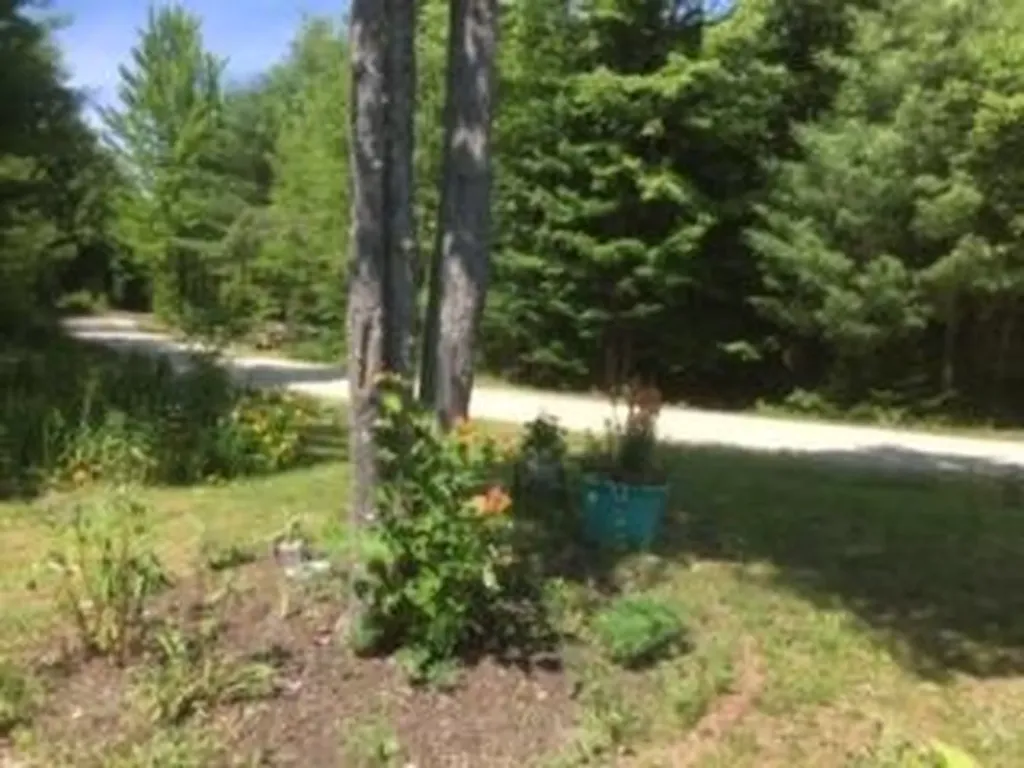 42 Woodland Road Otisfield ME 04270