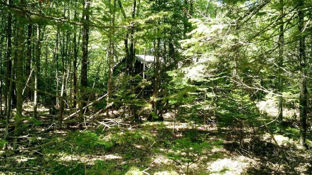 262 Beechwood Street Thomaston ME 04861