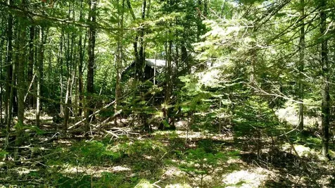 262 Beechwood Street Thomaston ME 04861