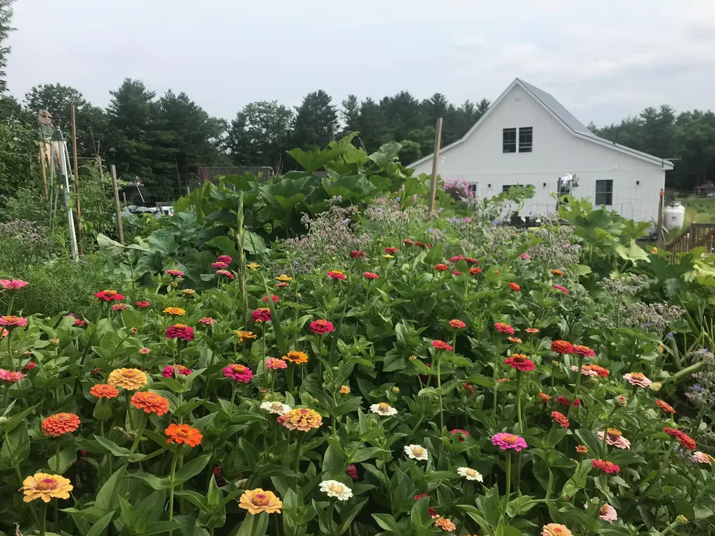 74 Cotton Road Lewiston ME 04240