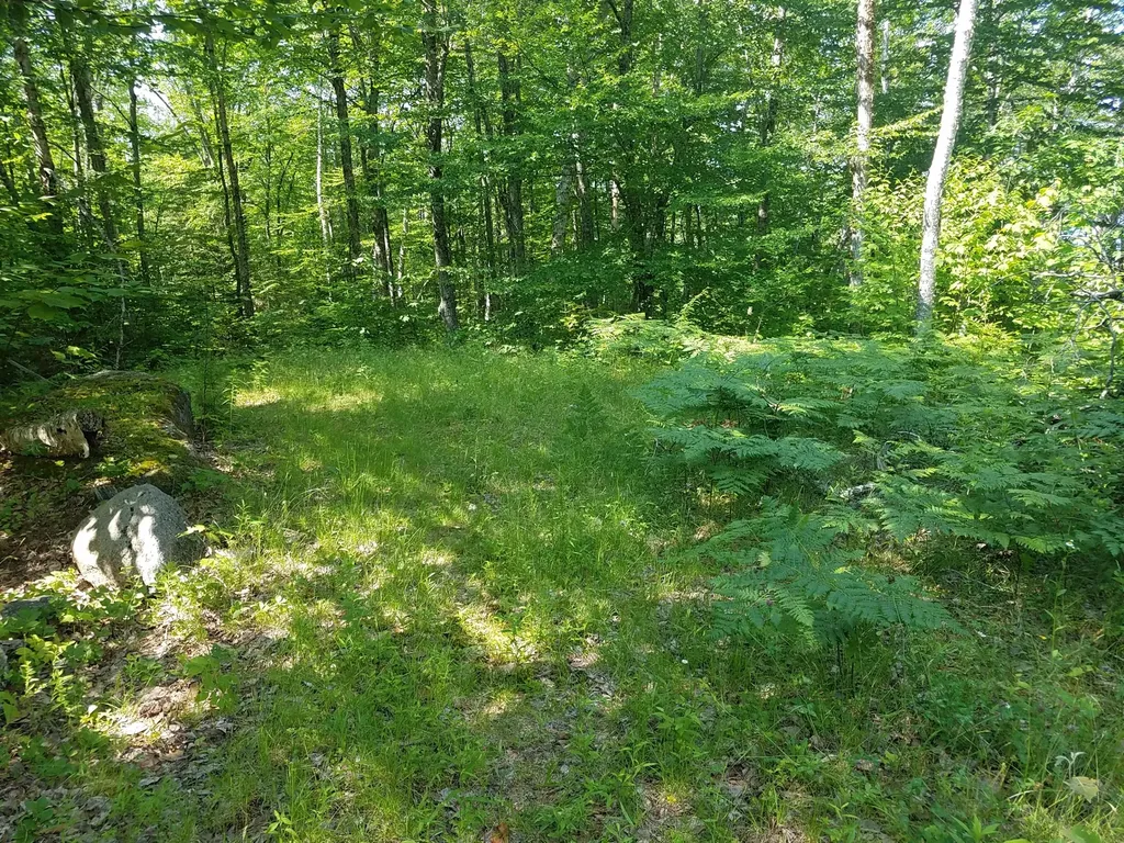 116 Smith Lane Clifton ME 04428