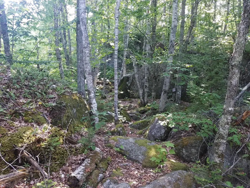 116 Smith Lane Clifton ME 04428