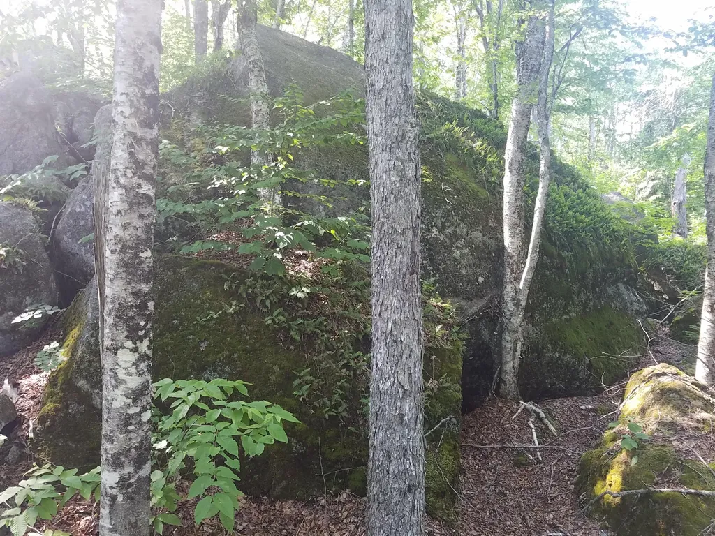 116 Smith Lane Clifton ME 04428
