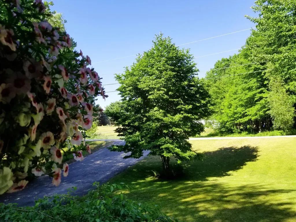 24 Oak Ridge Drive Standish ME 04084