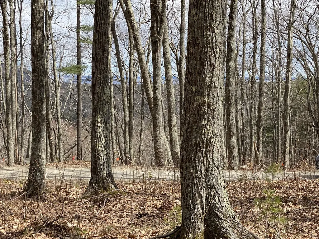 Lot #3 Bald Mountain Road Camden ME 04843