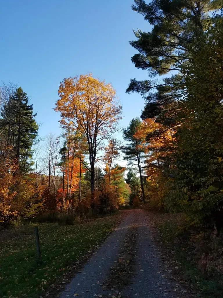 173 Mill Road Dedham ME 04429