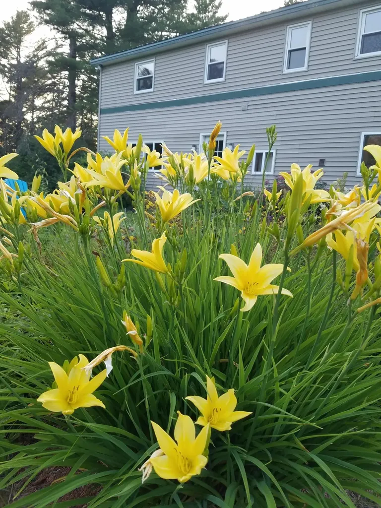 173 Mill Road Dedham ME 04429