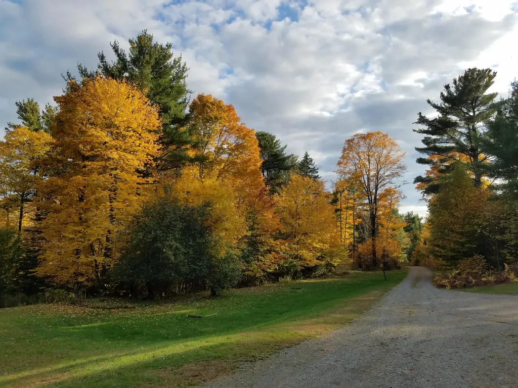 173 Mill Road Dedham ME 04429