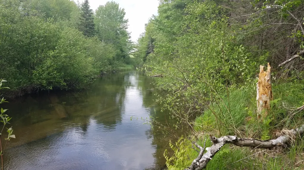 173 Mill Road Dedham ME 04429