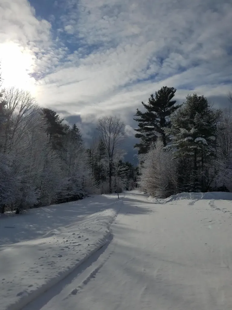 173 Mill Road Dedham ME 04429