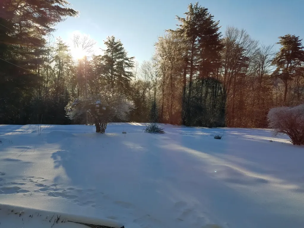 173 Mill Road Dedham ME 04429