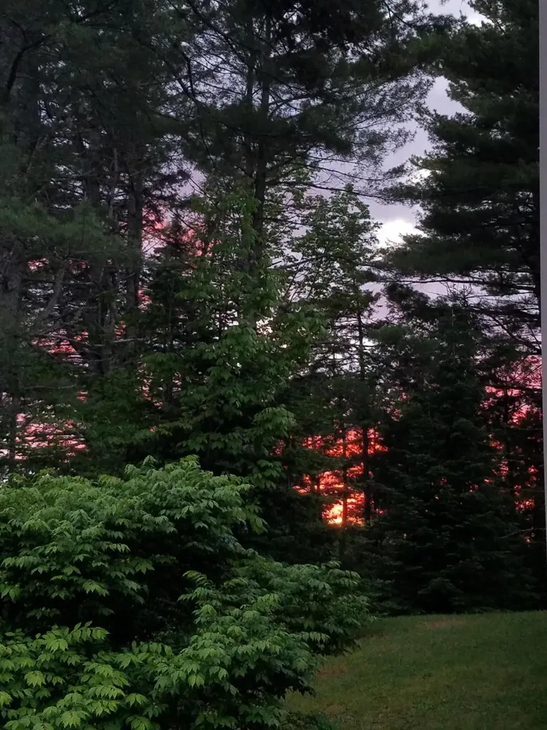 173 Mill Road Dedham ME 04429
