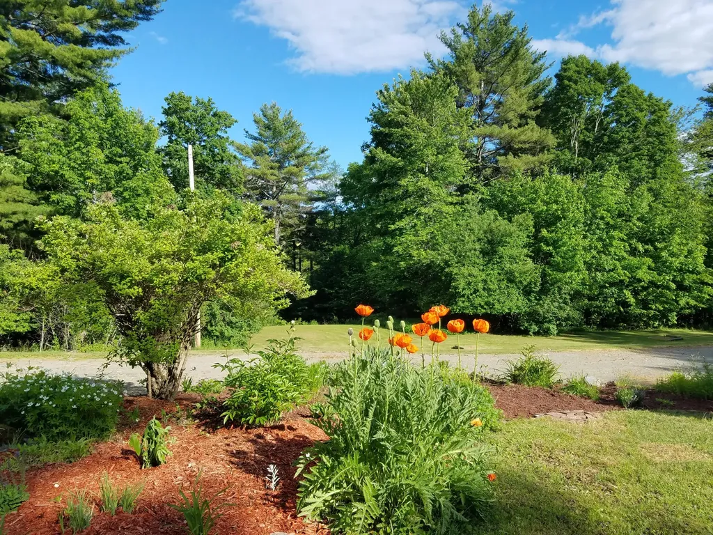 173 Mill Road Dedham ME 04429