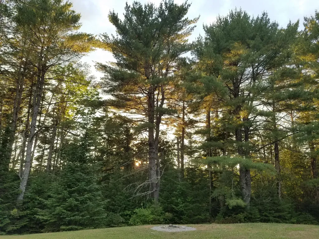173 Mill Road Dedham ME 04429
