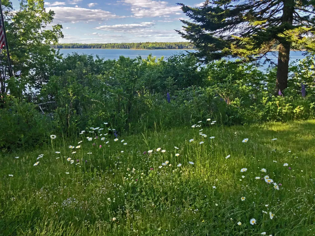 24 Wagner Drive Brooklin ME 04616
