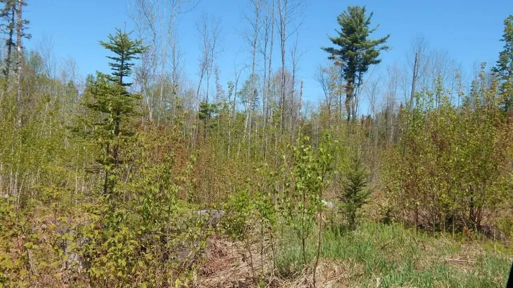 413 Church Street Brownville ME 04414