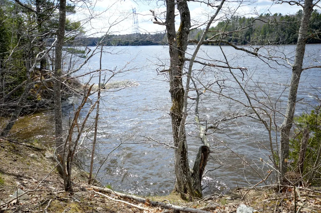 1365 River Road Orrington ME 04474