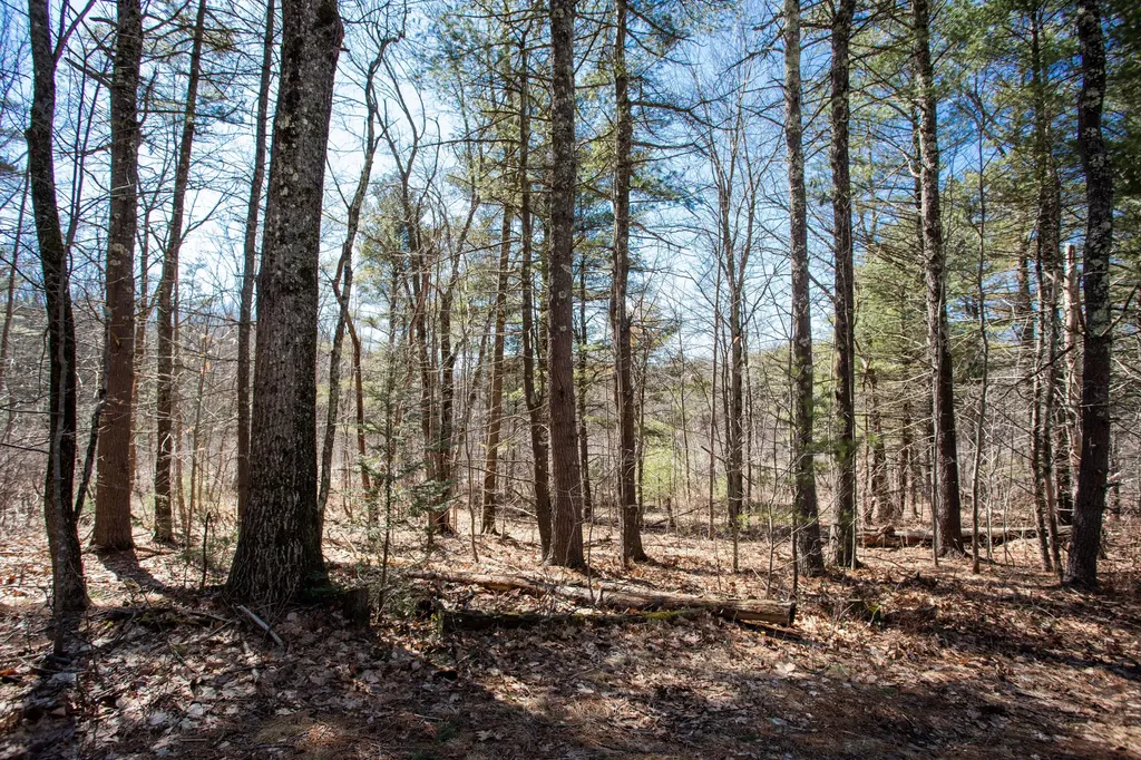 260 Hiltons Lane Wells ME 04090