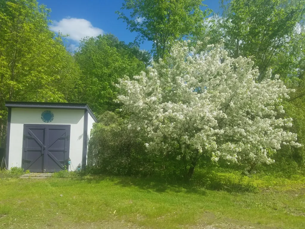 115 Collins Mills Road West Gardiner ME 04345