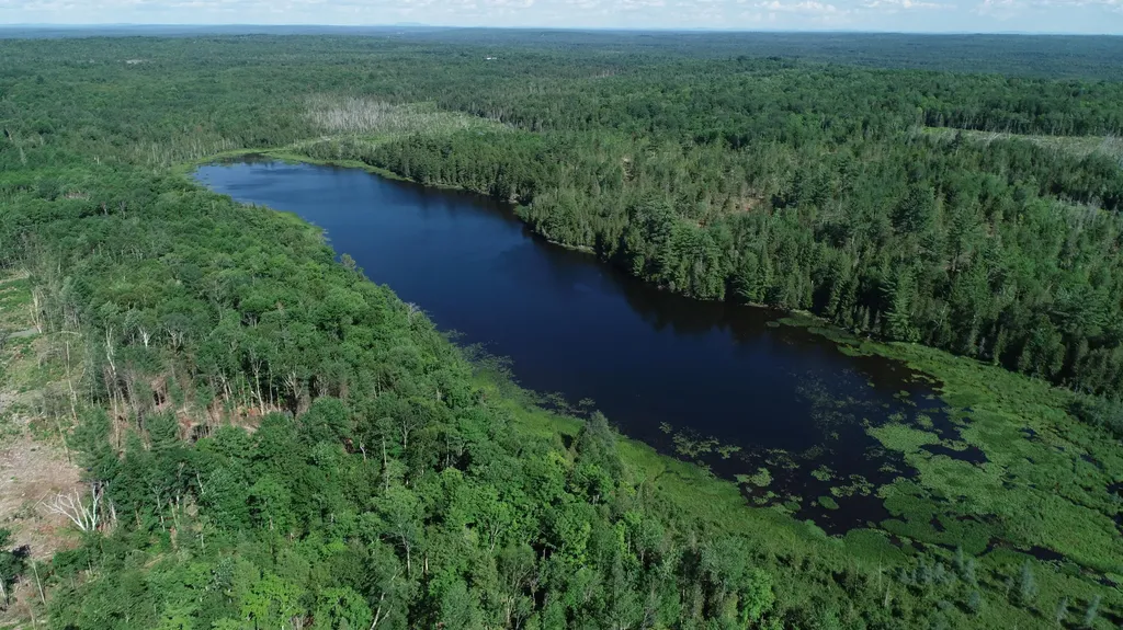 Lot 30 Downs Road Sebec ME 04481