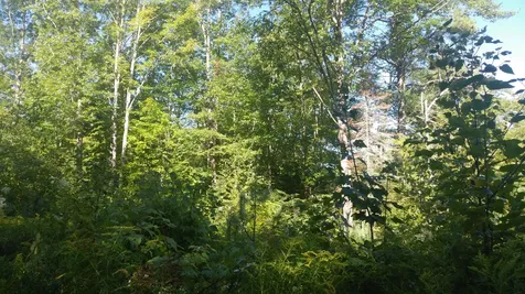 Lot 9 Hopper Road Acton ME 04001