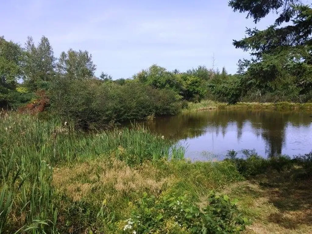 451 Hadley Lake Road East Machias ME 04630