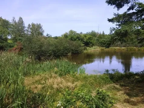 451 Hadley Lake Road East Machias ME 04630