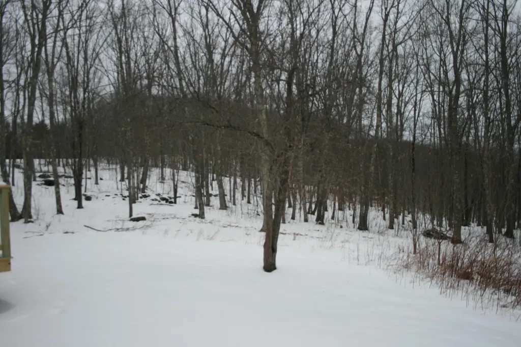 2667 Ohio Street Glenburn ME 04401