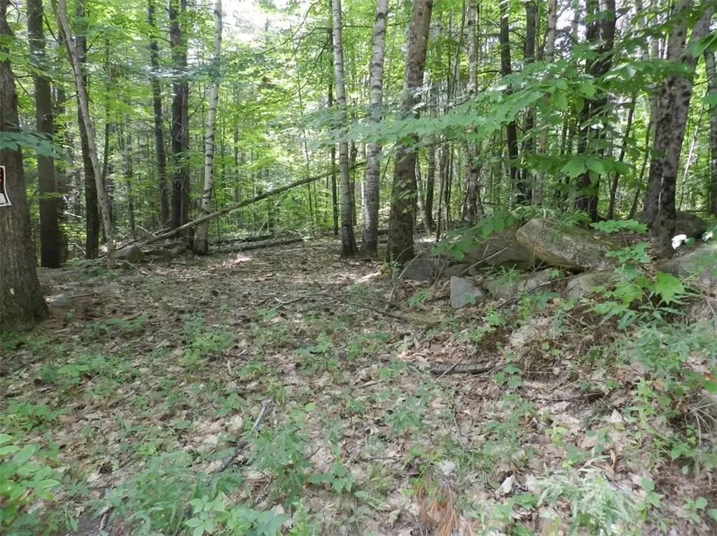 Lot 73 Loop Road Otisfield ME 04270