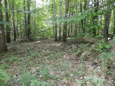 Lot 73 Loop Road Otisfield ME 04270