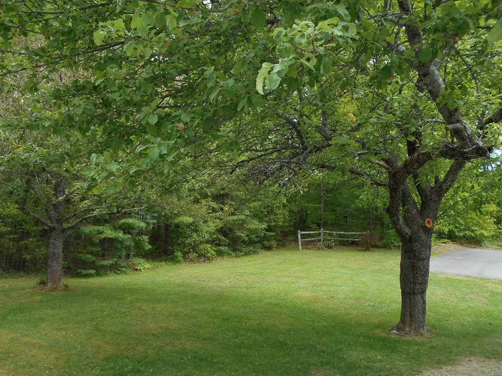 253 Mast Hill Road Bucksport ME 04416