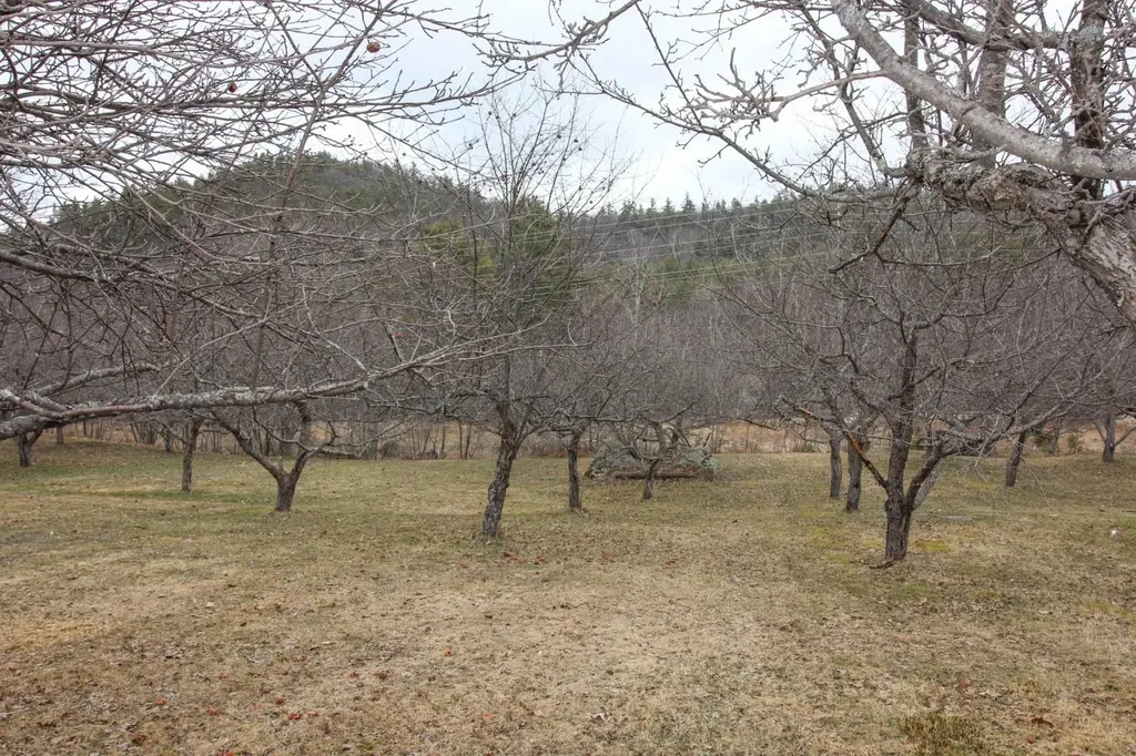 39 Rabbit Road Bethel ME 04217