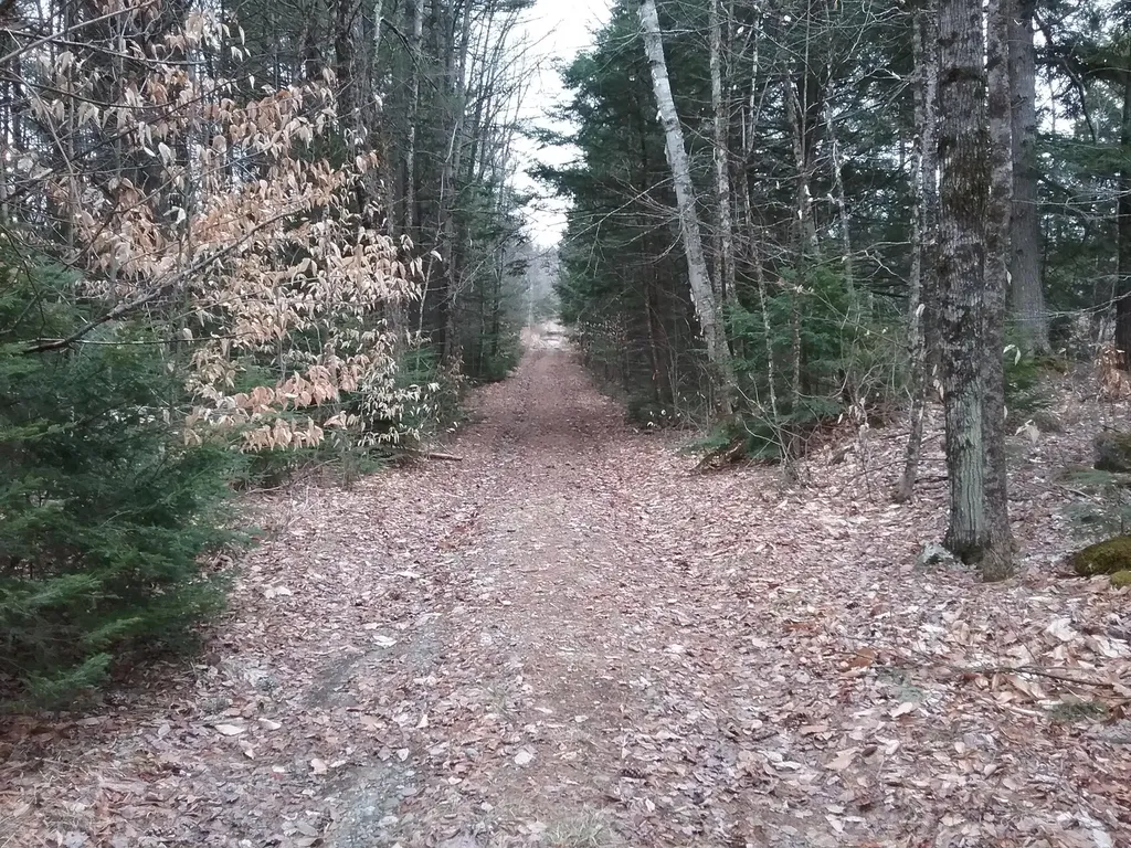 0 North Nelson Ridge Road N Washington ME 04574