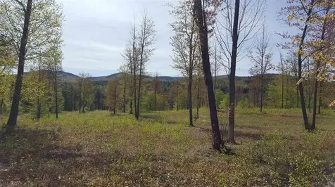 422 Hampshire Road Brownfield ME 04010