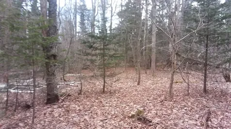 00 Otis Point Road Saint George ME 04860