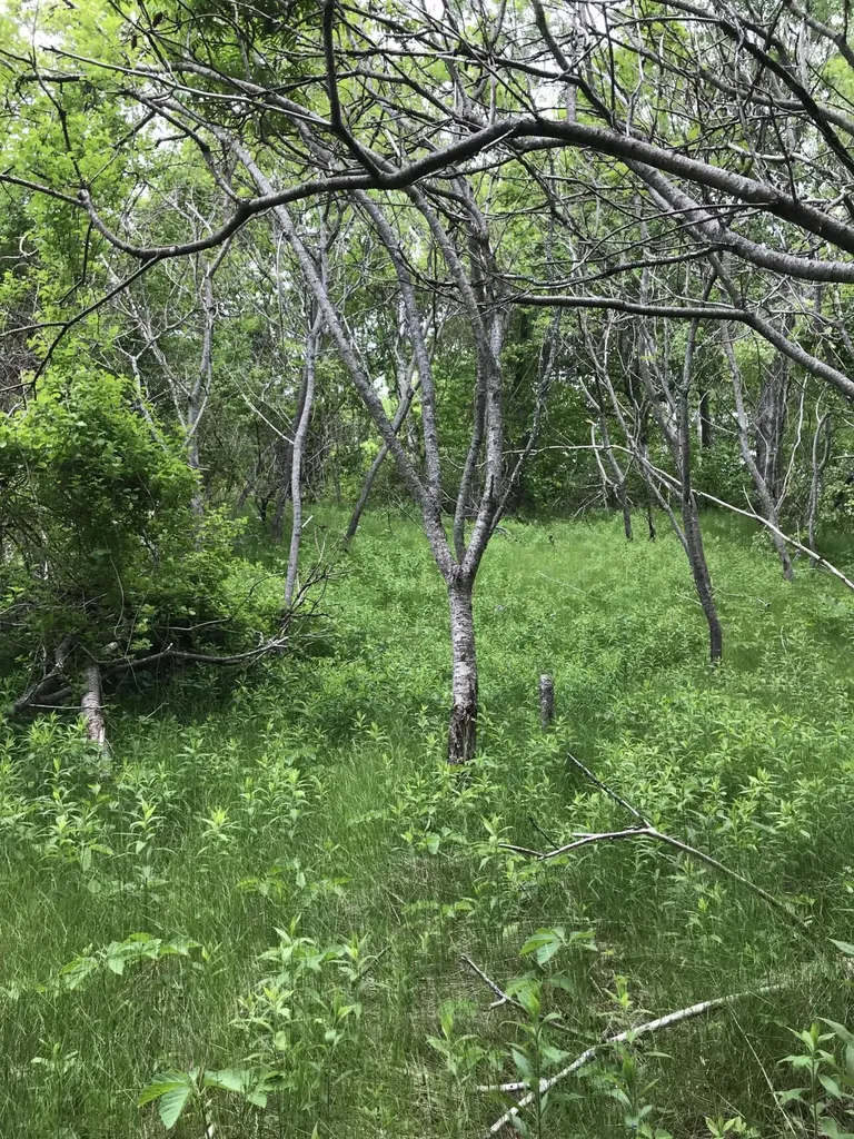 000 Pitcher Road Belfast ME 04915