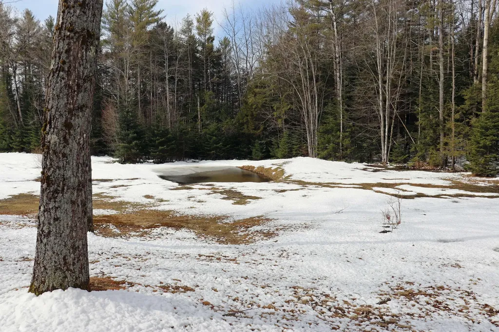 464 Newell Brook Road Durham ME 04222