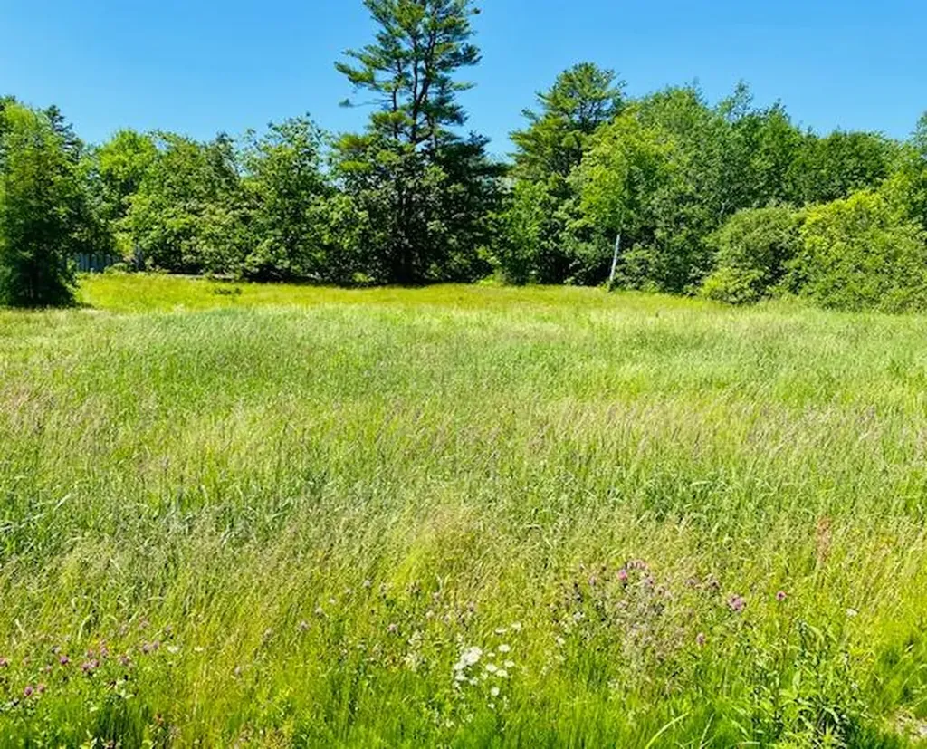 12 Banks Terrace Searsport ME 04974