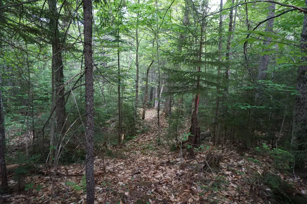28 E Loon Lane Road S Frenchtown Twp ME 04441