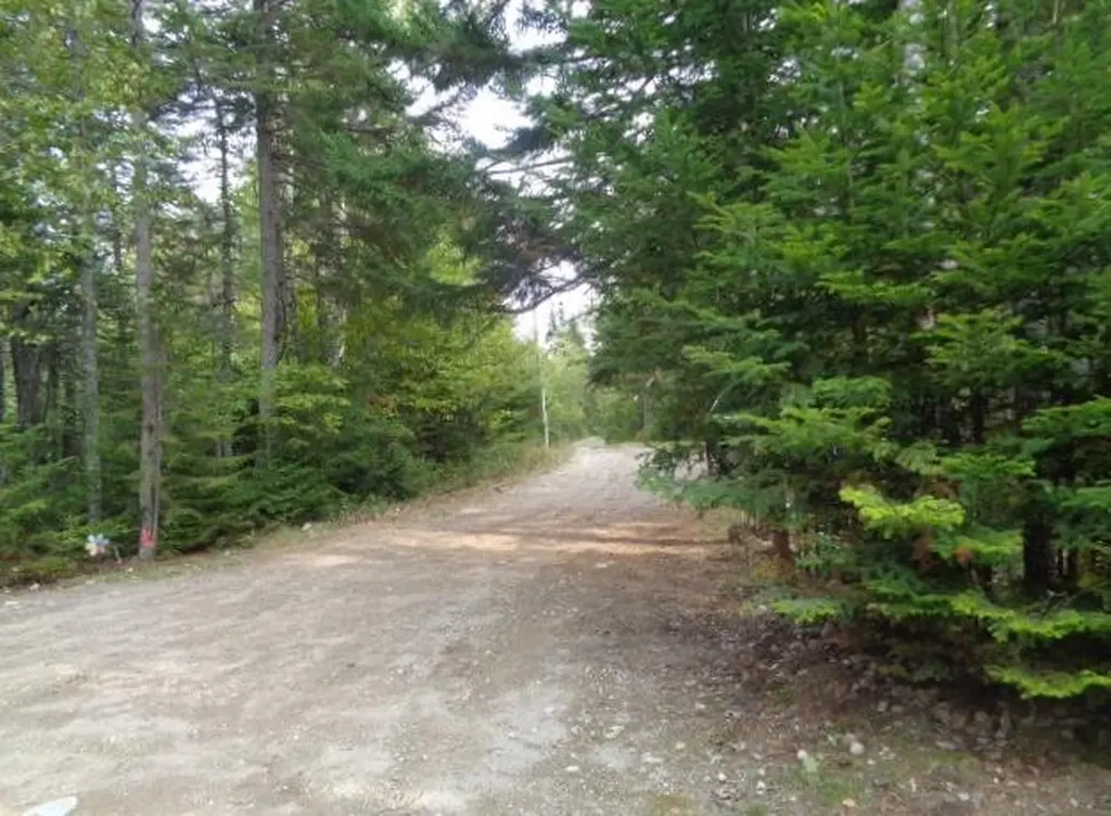 27 Shady Lane Steuben ME 04680