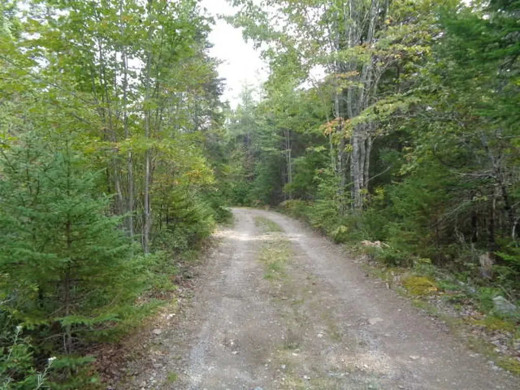27 Shady Lane Steuben ME 04680