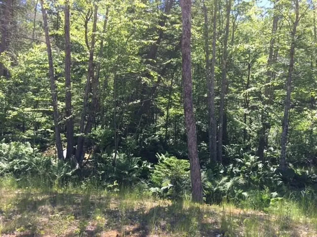 20 Tamarack Lane Cushing ME 04563