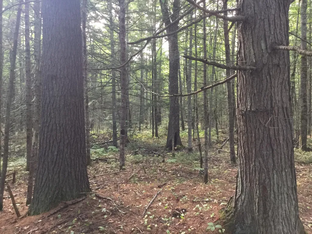 265 Emmons Road Kennebunk ME 04043