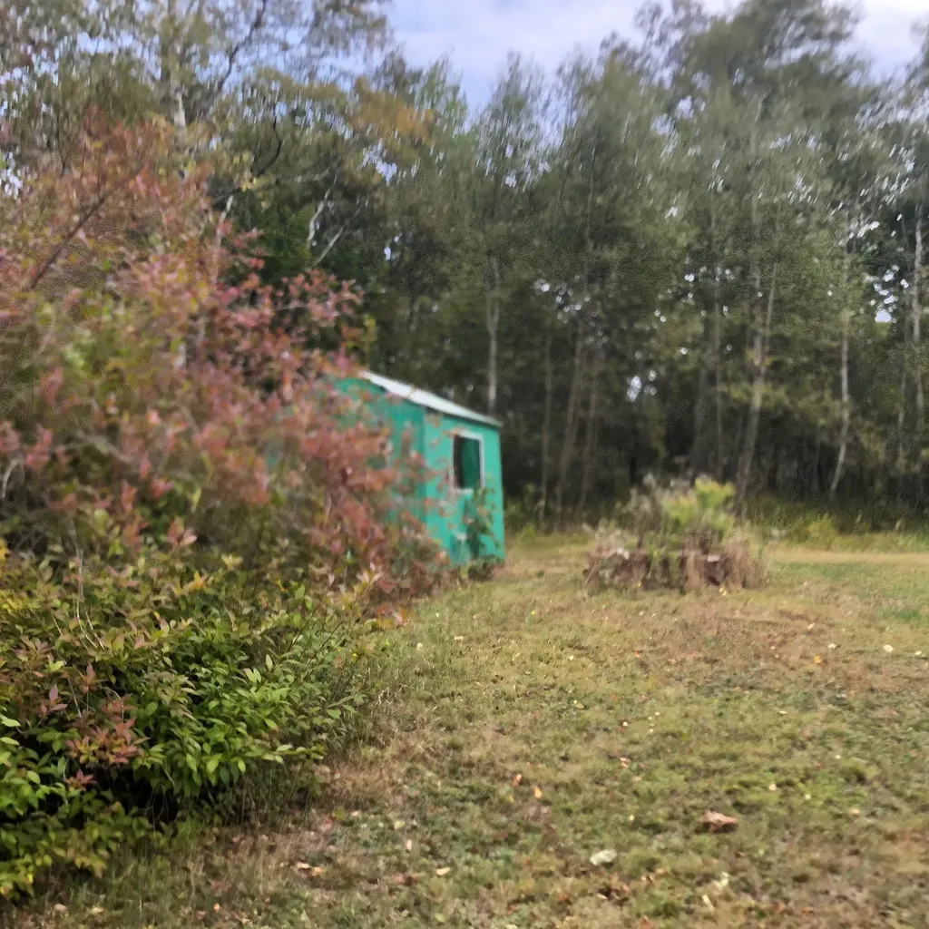 52 Wiswell Hill Road East Machias ME 04630