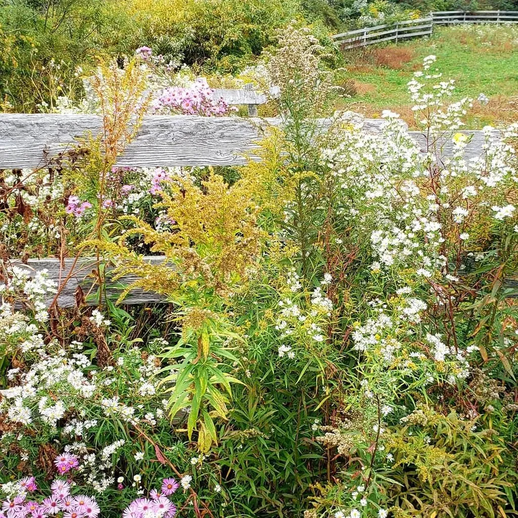 423 Wiscasset Road Boothbay ME 04537