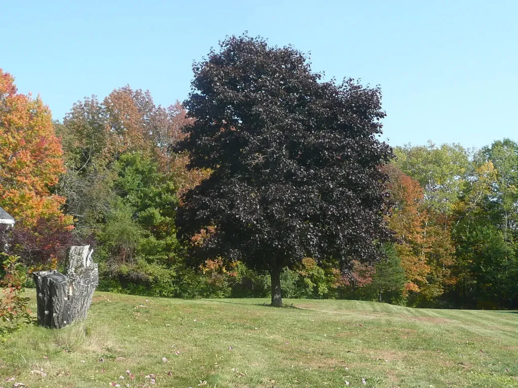 46 Grandview Acres Glenburn ME 04401