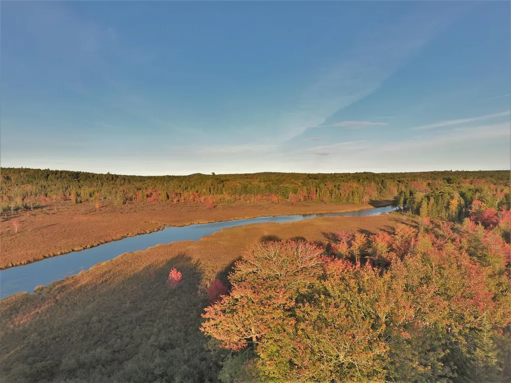 190 Orange Lake Road Whiting ME 04691