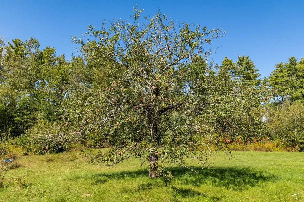 380 Happy Hollow Road Union ME 04862