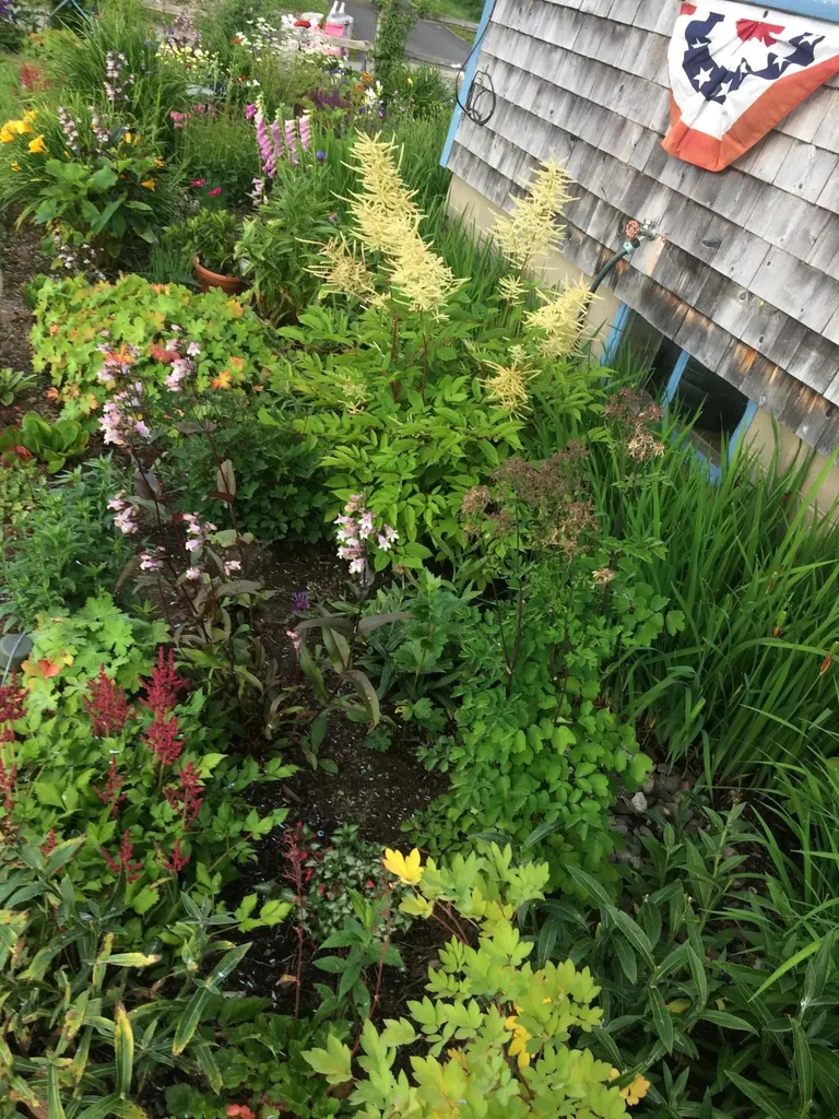 19 Lincoln Street Eastport ME 04631